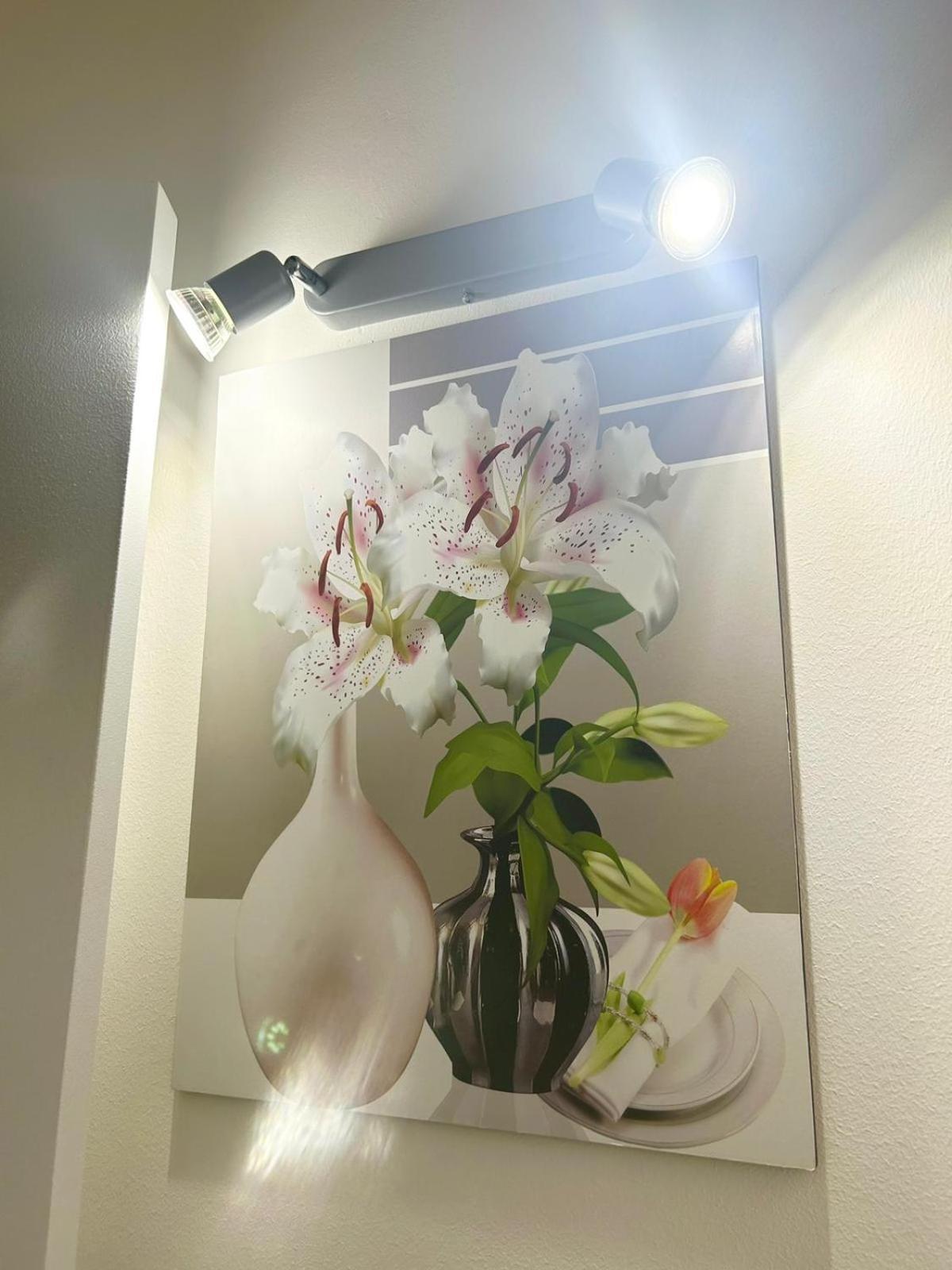 Apartments For Rent 卡塔尼亚 外观 照片